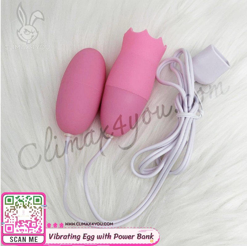 ไข่สั่นหัวกลมพร้อมลิ้นเบิร์น (มีพาวเวอร์แบงค์) l Vibrating Egg with Power Bank