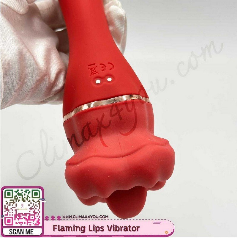 Flaming Lips Vibrator-5 Flaming Lips Vibrator